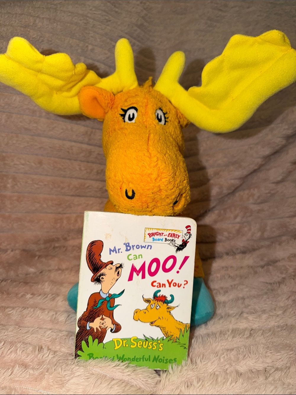 Dr. Seuss Mr. Brown Can Moo hardcover book and plush